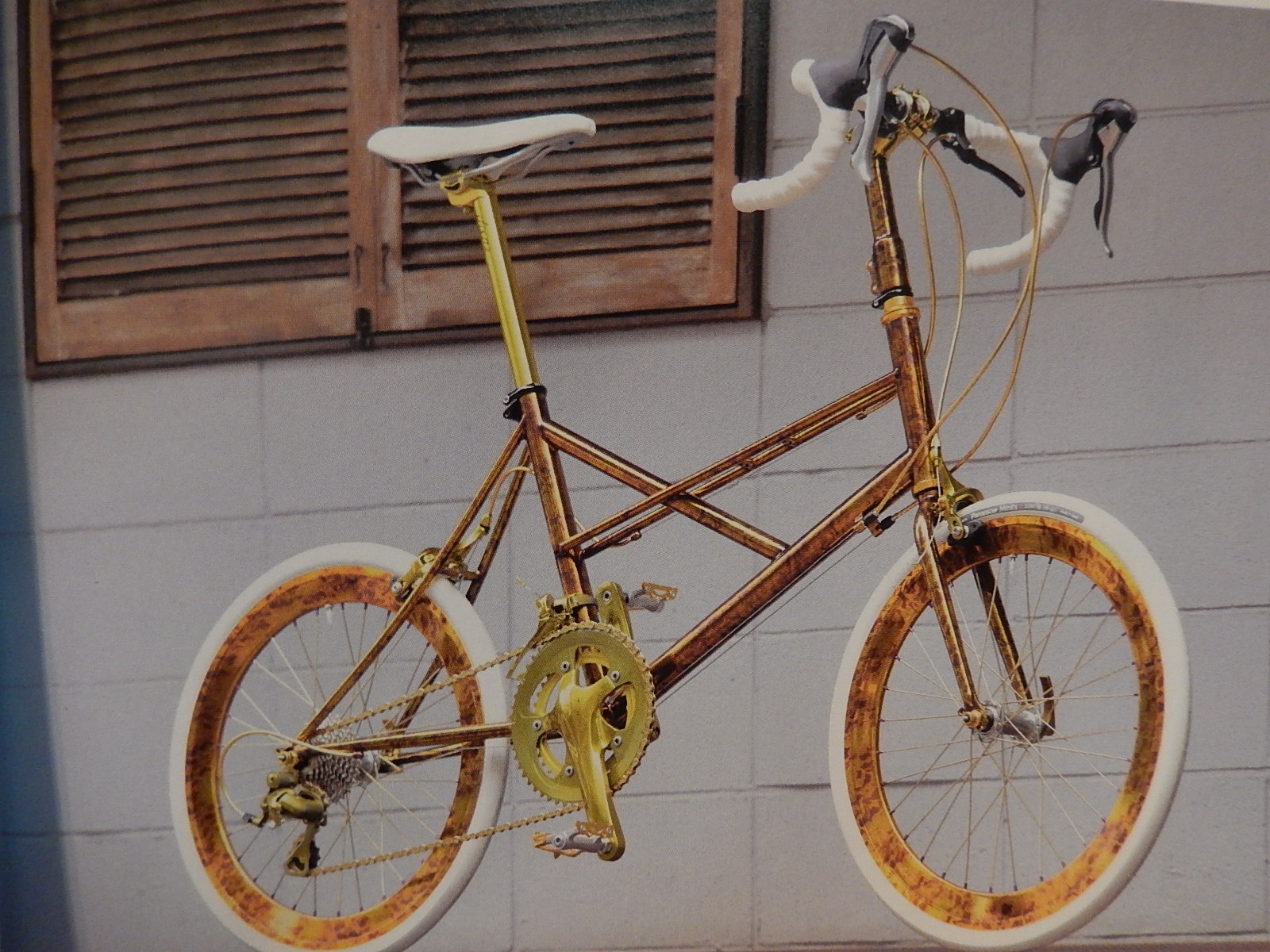 BRUNO VENTURA ブルーノ ヴェンチュラリミテッド 限定100台モデル