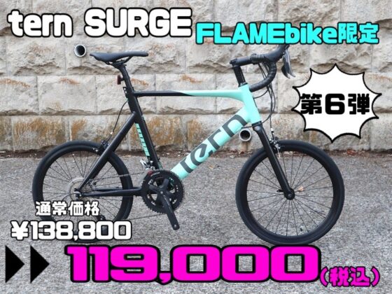 【第6弾】 tern SURGE FLAMEbike限定 turquoise/BLACK