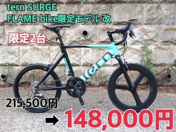 tern SURGE FLAMEbike限定　第6弾 改