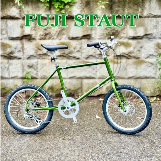 FUJI STAUT　SEAWEED　グリーン