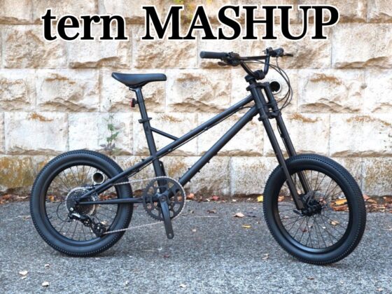 tern MASHUP (マッシュアップ）Matte Black