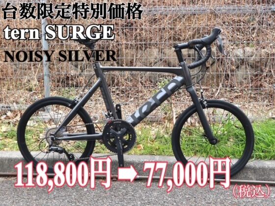 台数限定特別価格 tern SURGE NOISY SILVER