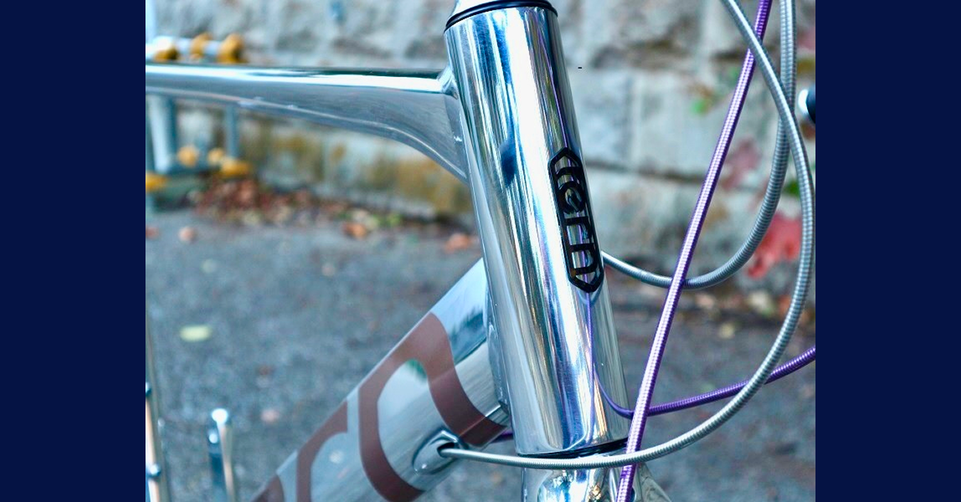 美しく輝く tern 車両